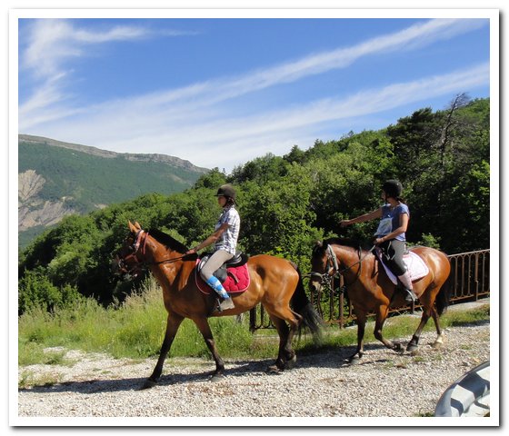 999chevauxpatagoniens