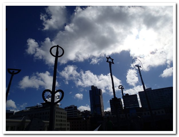 OLYMPUS DIGITAL CAMERA