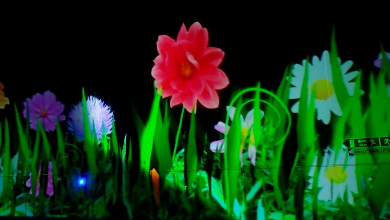 OLYMPUS DIGITAL CAMERA